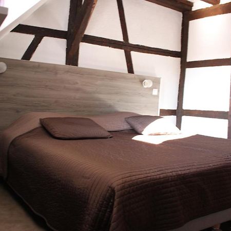קולמר Appartement Les Violettes מראה חיצוני תמונה