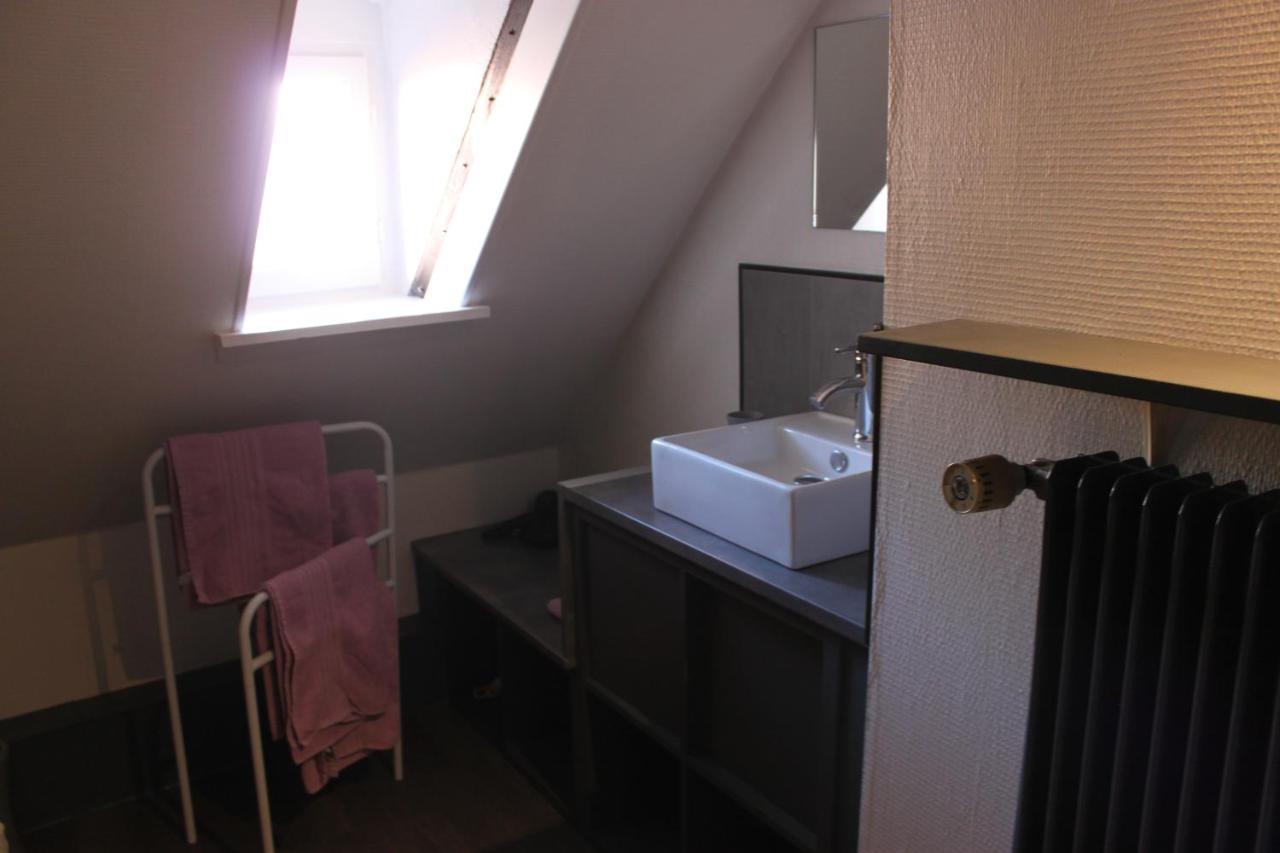 קולמר Appartement Les Violettes מראה חיצוני תמונה