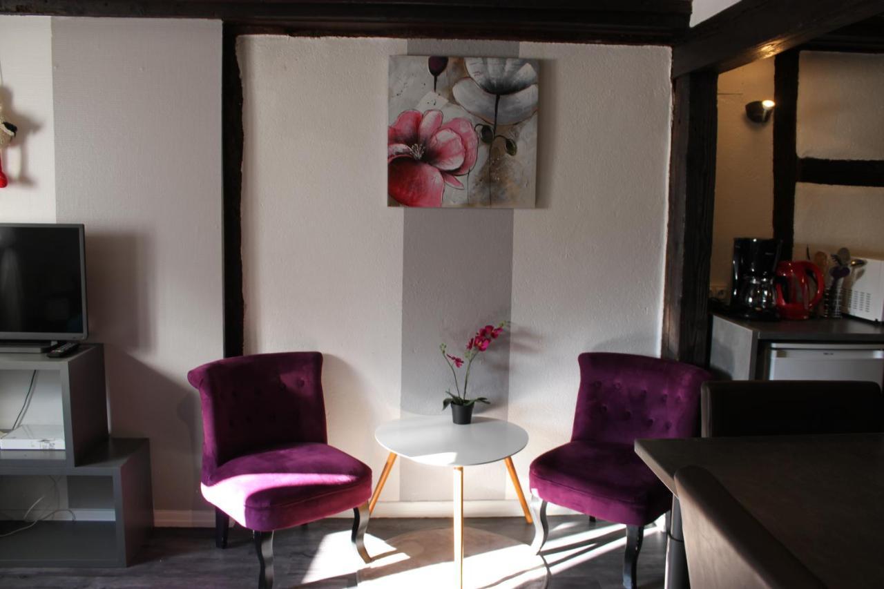 קולמר Appartement Les Violettes מראה חיצוני תמונה