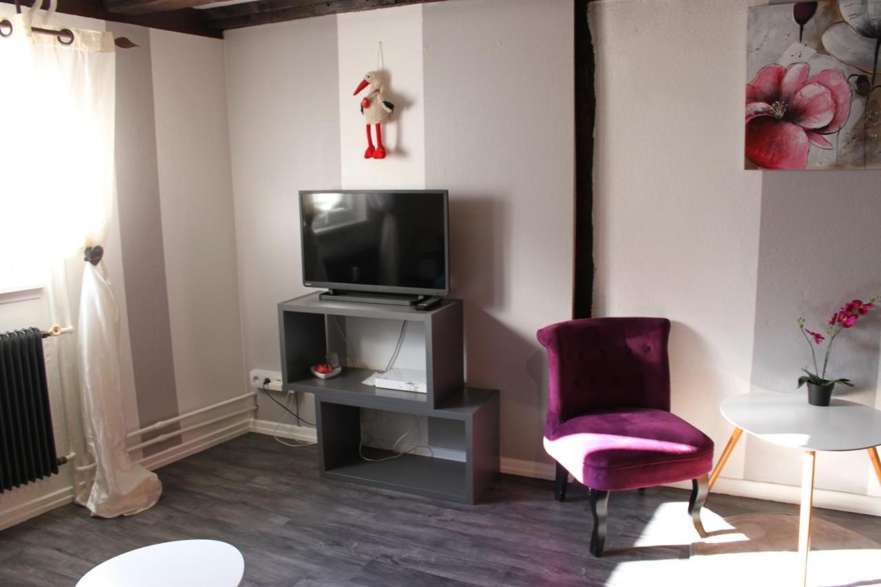 קולמר Appartement Les Violettes מראה חיצוני תמונה